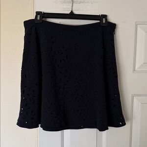 Banana Republic Navy Mini Skirt